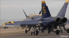 BlueAngel31018 (51).jpg